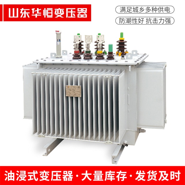 S13-10000/35措勤措勤措勤电力变压器